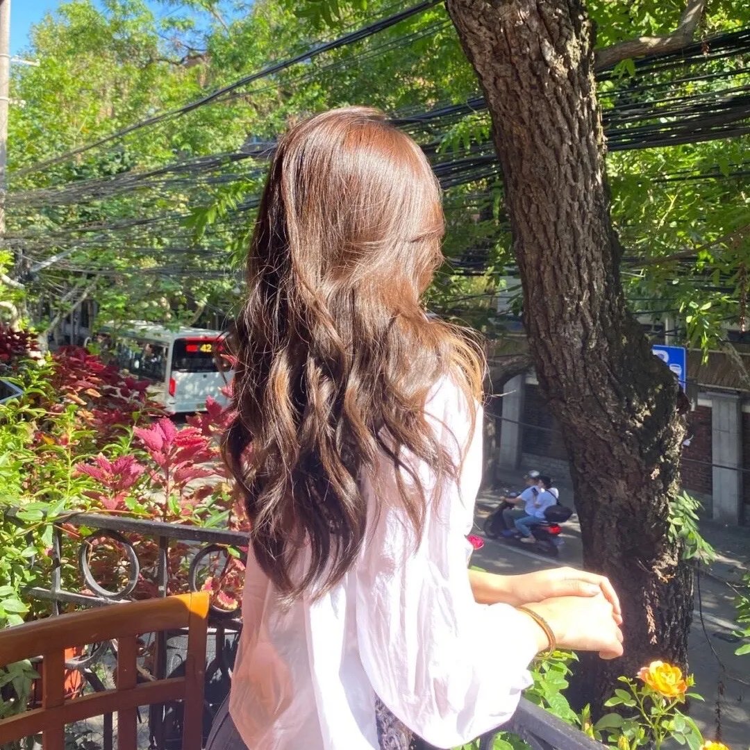 丹特丽安的书架